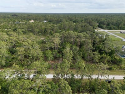 Hibiscus Dr, FL 33855 — 11 of 22