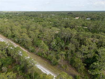 Hibiscus Dr, FL 33855 — 12 of 22