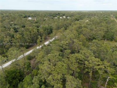 Hibiscus Dr, FL 33855 — 13 of 22