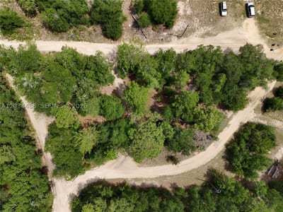 225 Mirror Lk Dr, FL 32148 — 17 of 17
