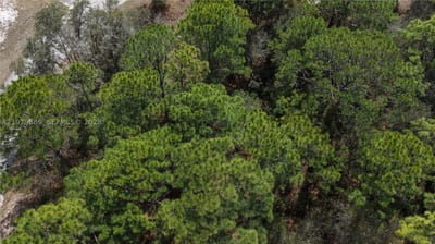 500 Caribbean Pl, FL 34759 — 13 of 17