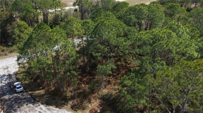 500 Caribbean Pl, FL 34759 — 16 of 17
