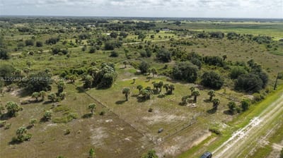14773 Nw 280th, Okeechobee, FL 34972 — 11 of 21
