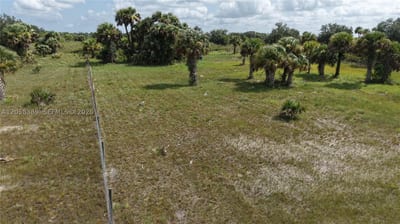 14773 Nw 280th, Okeechobee, FL 34972 — 17 of 21