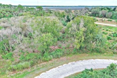 173 Carousel Ave, La Belle, FL 33935 — 3 of 21