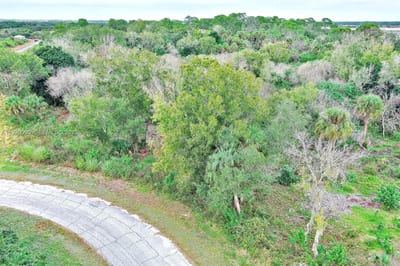 173 Carousel Ave, La Belle, FL 33935 — 4 of 21
