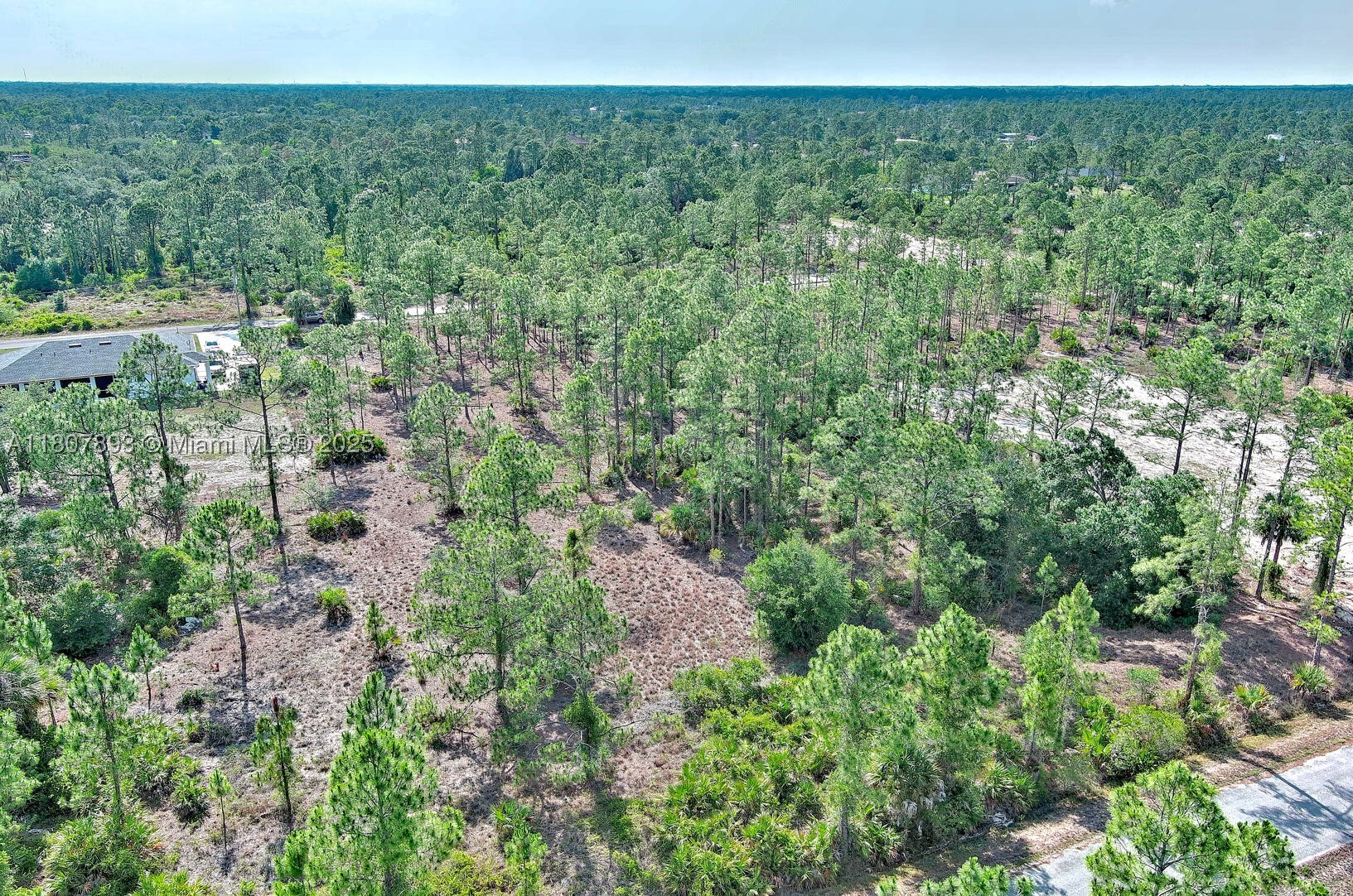 317 Fitch Ave, Lehigh Acres, FL 33936 — 11 of 23