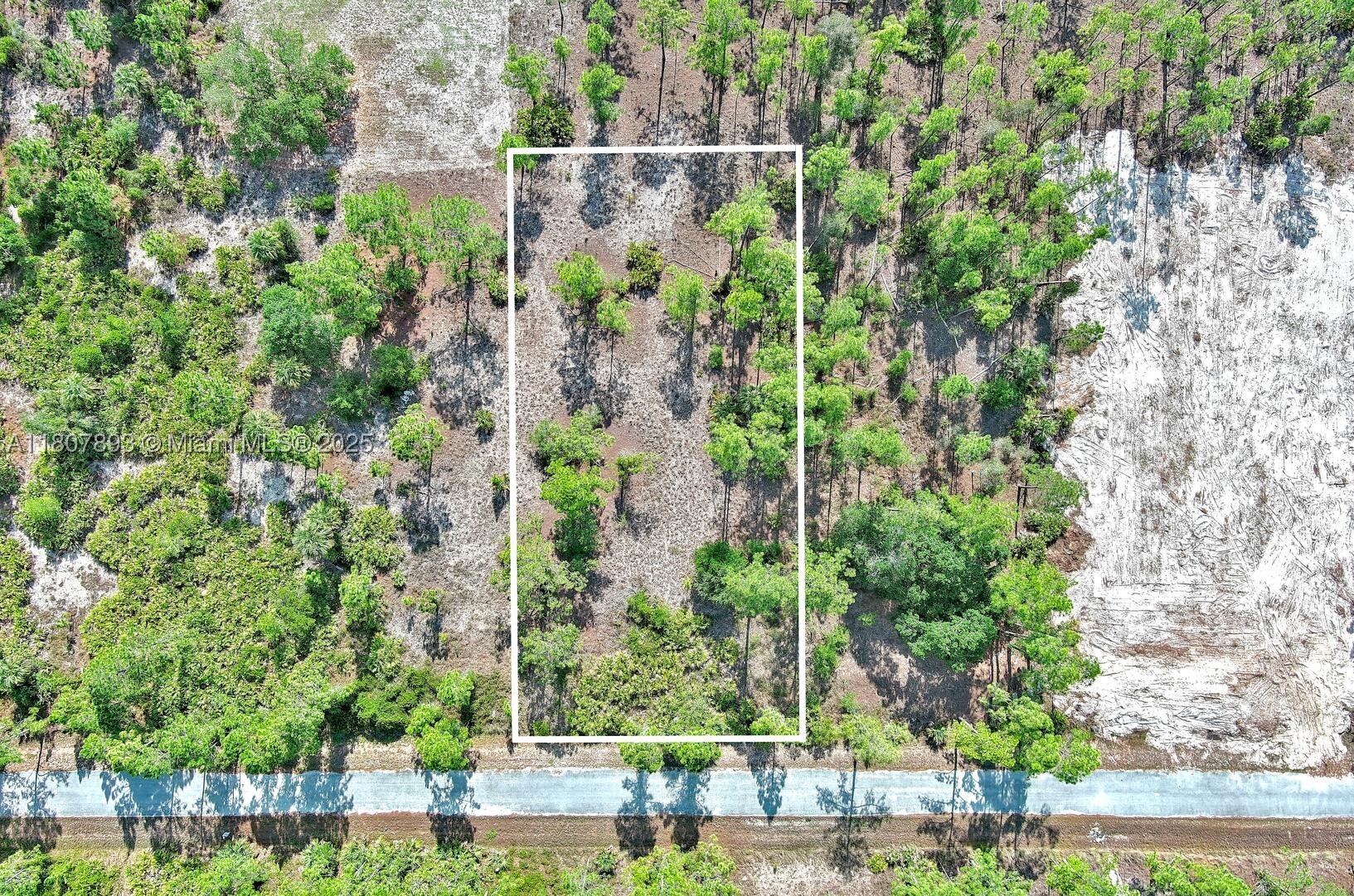 317 Fitch Ave, Lehigh Acres, FL 33936 — 2 of 23