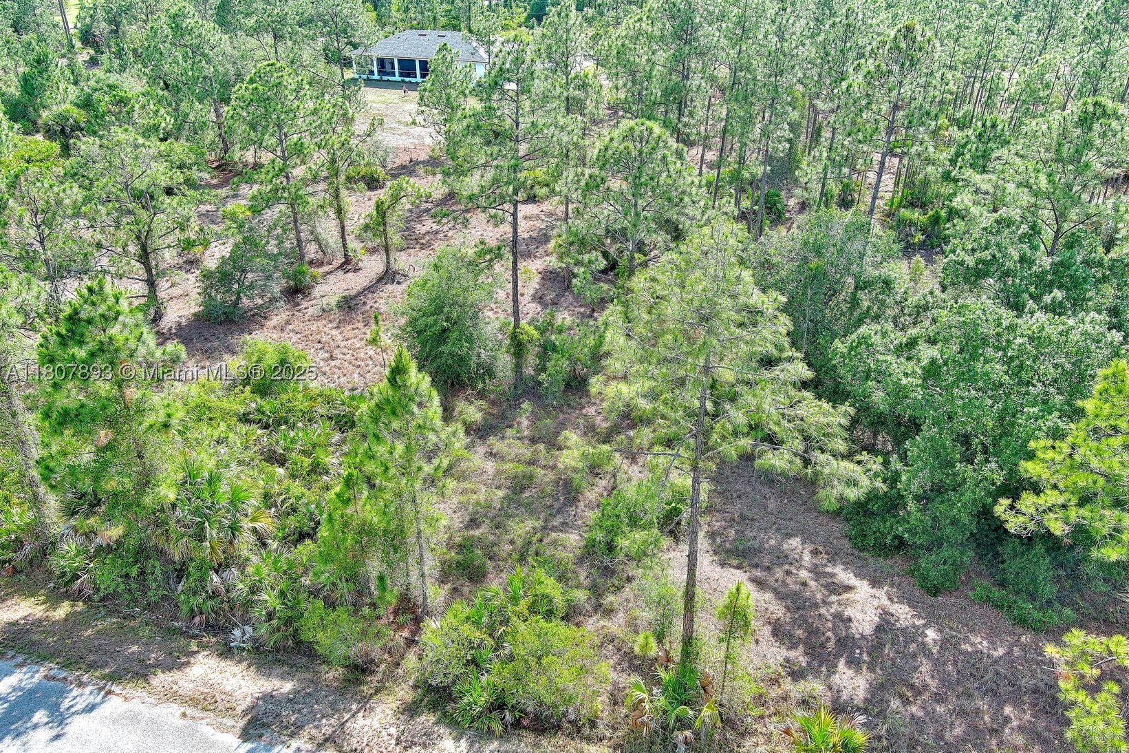 317 Fitch Ave, Lehigh Acres, FL 33936 — 6 of 23