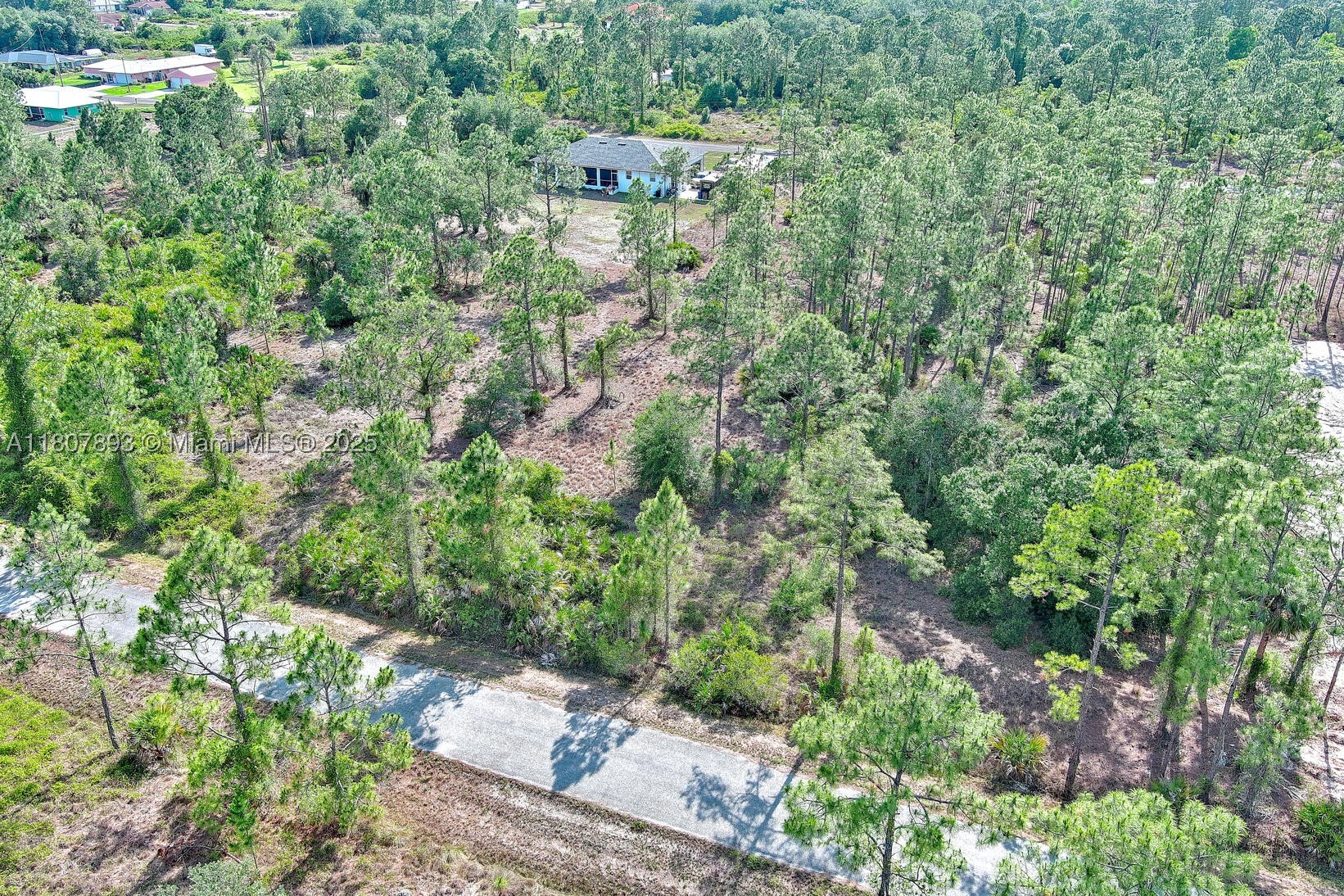 317 Fitch Ave, Lehigh Acres, FL 33936 — 8 of 23