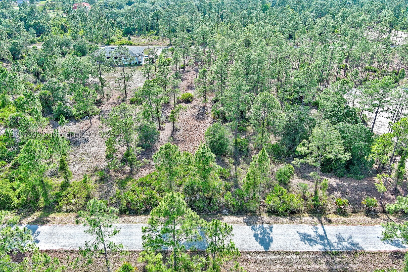 317 Fitch Ave, Lehigh Acres, FL 33936 — 9 of 23