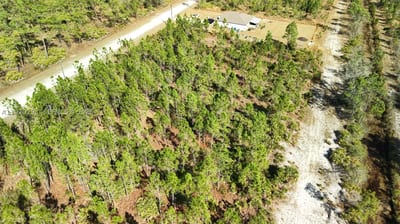 Portulaca Dr, FL 33855 — 10 of 68