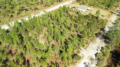 Portulaca Dr, FL 33855 — 11 of 68