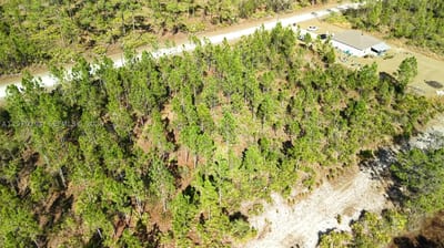 Portulaca Dr, FL 33855 — 12 of 68