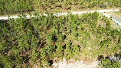 Portulaca Dr, FL 33855 — 13 of 68