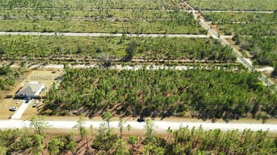 Portulaca Dr, FL 33855 — 23 of 68