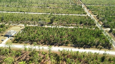 Portulaca Dr, FL 33855 — 24 of 68