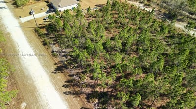 Portulaca Dr, FL 33855 — 3 of 68