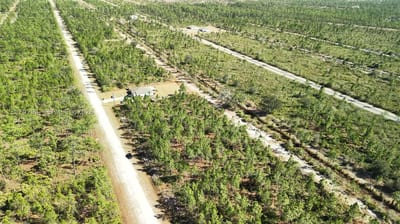 Portulaca Dr, FL 33855 — 31 of 68