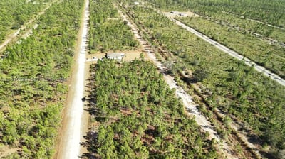 Portulaca Dr, FL 33855 — 34 of 68
