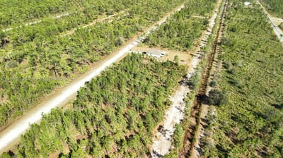 Portulaca Dr, FL 33855 — 39 of 68
