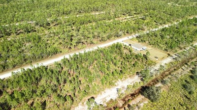 Portulaca Dr, FL 33855 — 43 of 68