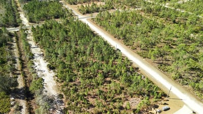 Portulaca Dr, FL 33855 — 52 of 68