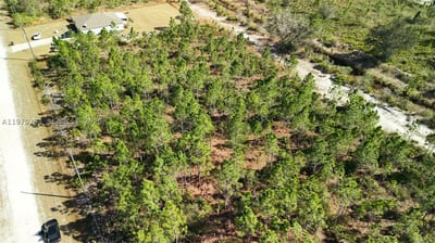 Portulaca Dr, FL 33855 — 6 of 68