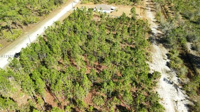 Portulaca Dr, FL 33855 — 9 of 68